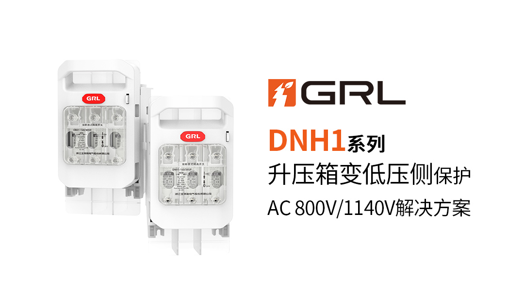 1732770835943846.jpg DNH1-S系列.jpg