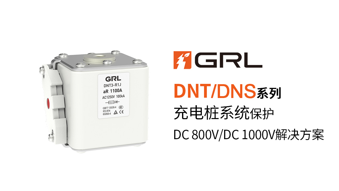 1733451813457025.jpg DNT-DNS.jpg